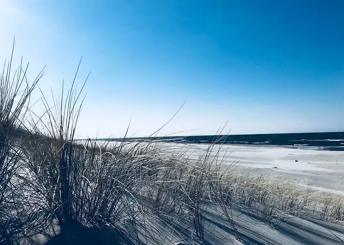 Dworek U Ewy Wiosenna 10 * Karwia